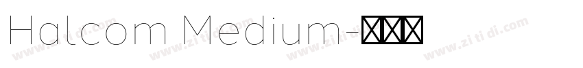 Halcom Medium字体转换